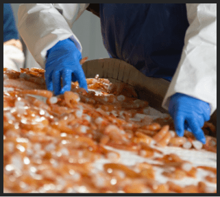 Gloved man handling frozen fresh shrimp