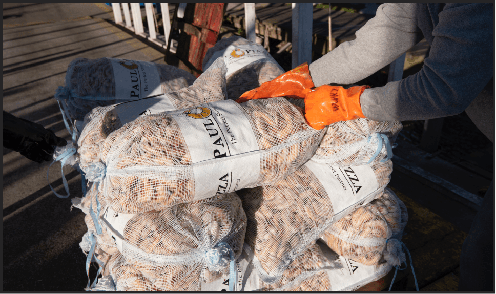 Workers carry bags of shrimp from boat to dock