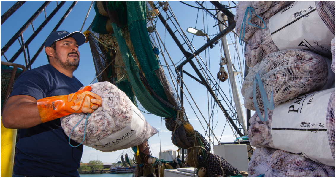 Worker carries shrimp packaging off boat