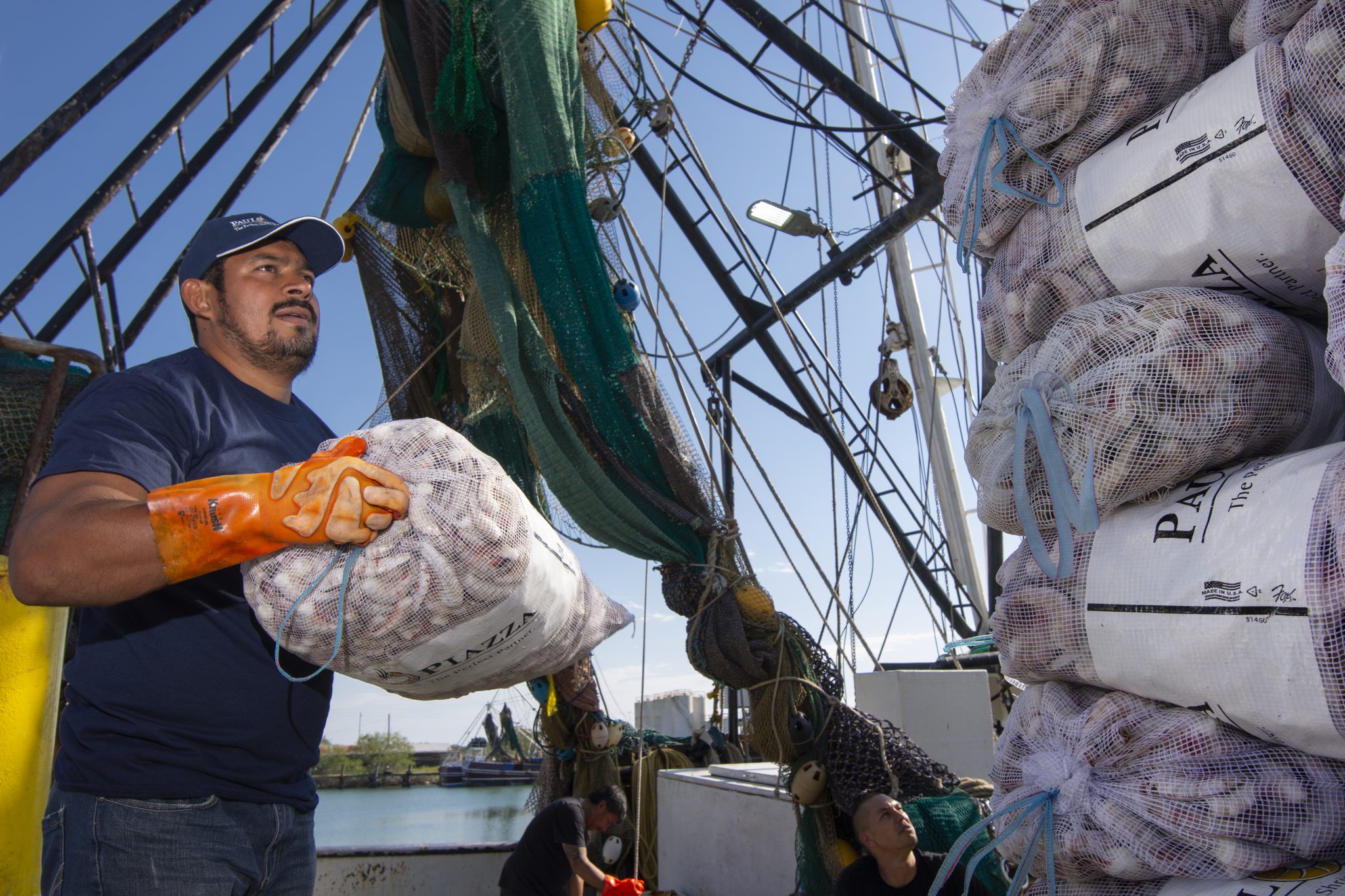 Texas Brown Shrimp Season Is in Full Swing! Paul Piazza Shrimp