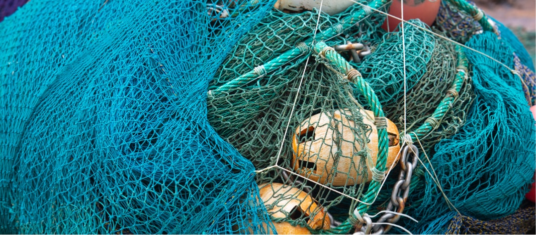 Blue nets on a dock