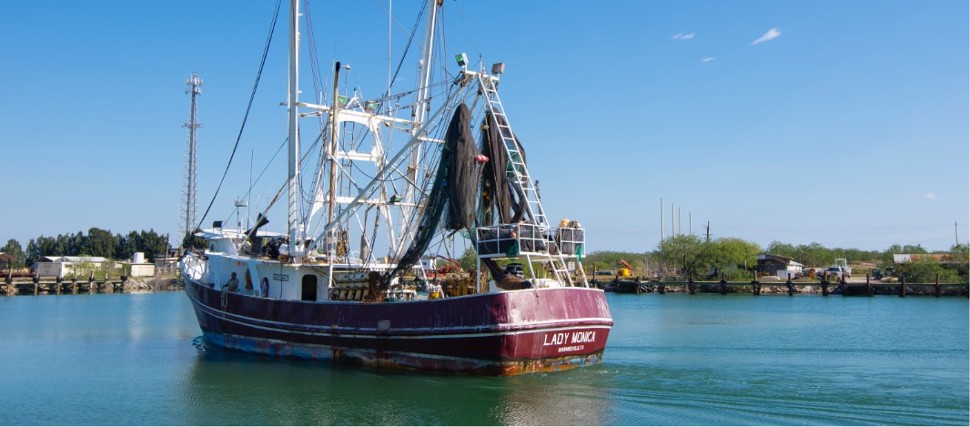 Sustainable Shrimping Boat out in the Water