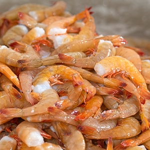 Premium Gulf Wild Caught Shrimp can provide plentiful protein